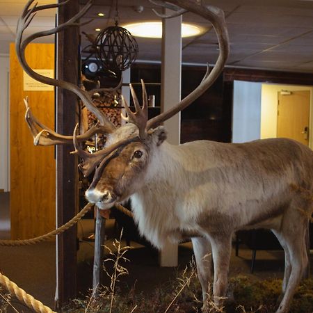 Hornavan Hotell Ареплок Екстериор снимка